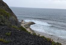 Laguna Beach: Where Art and the Ocean Meet